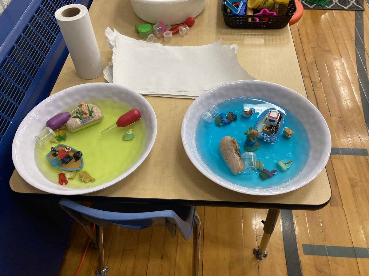 boydtalons's tweet photo. Congratulations to the staff and students of Burnett School on an excellent exhibition of learning! #Ignitingminds #kindlinghearts #prps8 https://t.co/TKPBVj2667