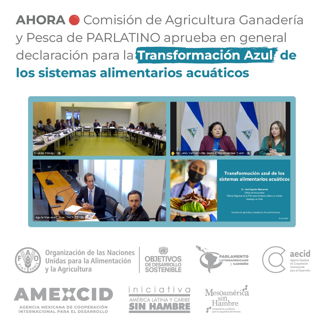 ALCsinhambre's tweet photo. 🎯¡Grandes resultados! Con el soporte técnico de @FAO, @Parlatino_org aprueba en gral. declaración para impulsar una #TransformacionAzul de los sistemas alimentarios acuáticos🌊con una visión sustentable, equitativa y resiliente de América Latina y Caribe
Apoya @AECID @AMEXCID https://t.co/ZvpR9V3IdB