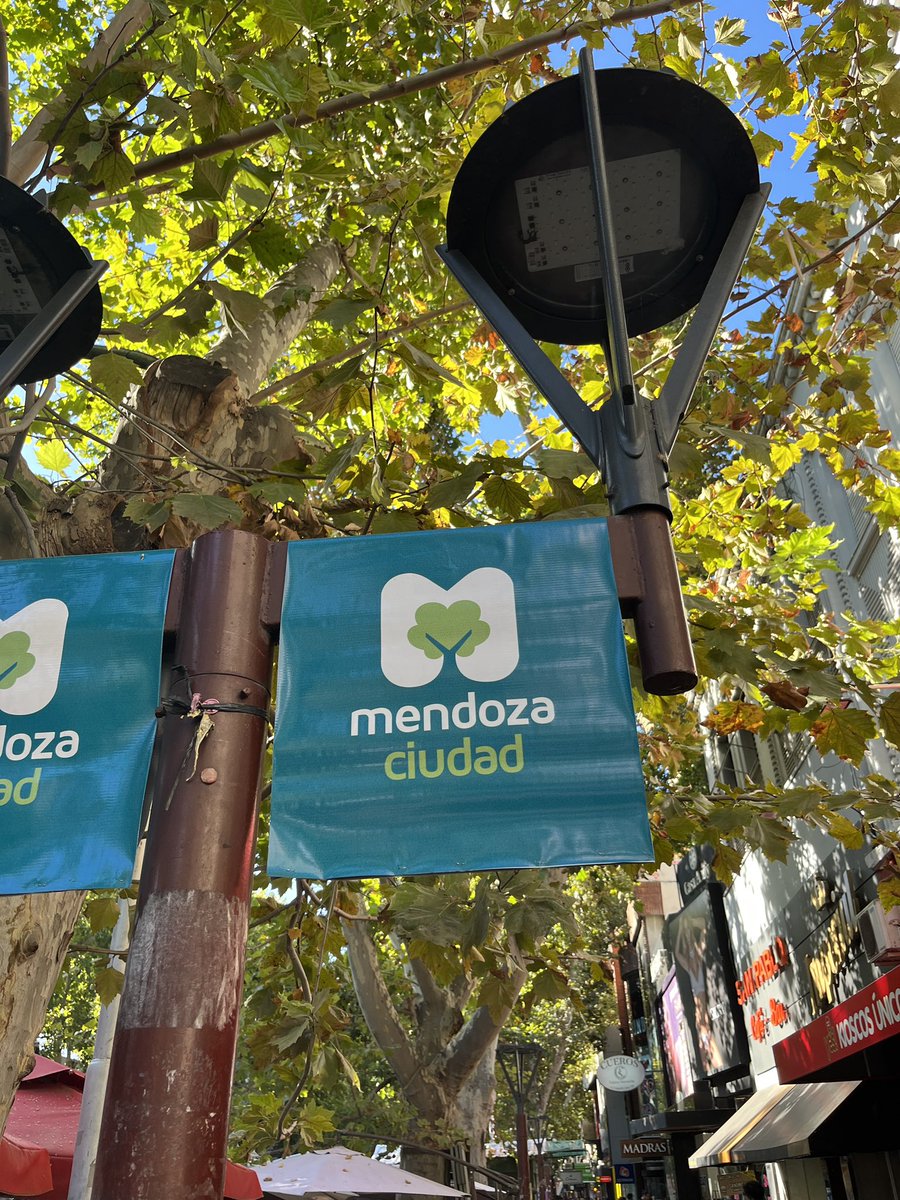 namirita's tweet photo. ¿Nadie en la municipalidad ni en la agencia que hizo el diseño advirtió que el logo es una concha peluda? https://t.co/feGBOx18iL