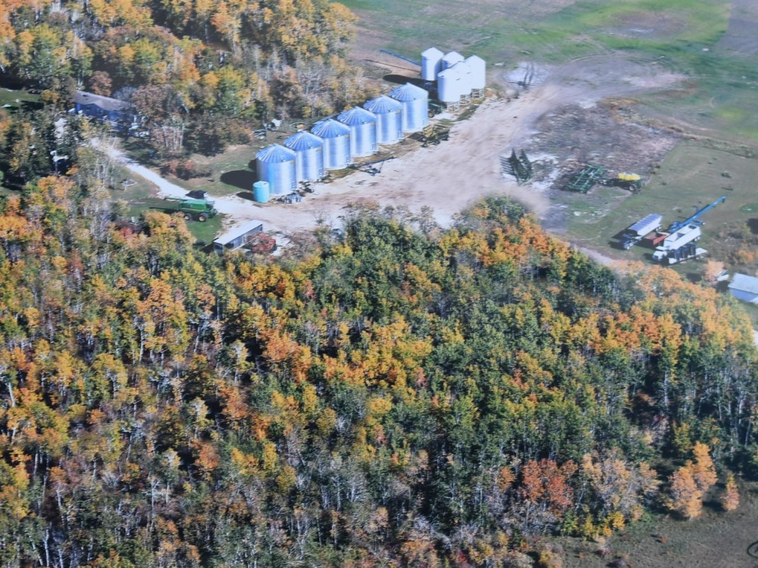 *INVESTMENT OPPORTUNITY* GRAIN FARM FOR SALE!
farmmarketer.com/listing/fm/157…

Farm Type: Grain
Acreage (Total): 3210.57 
Province: Manitoba
Agent: Dolf Feddes

#Findyourdreamproperty #grain #grainfarm #cultivatedland #farm365 #forsale #cropland #barley #oats #rye #wheat #lentils