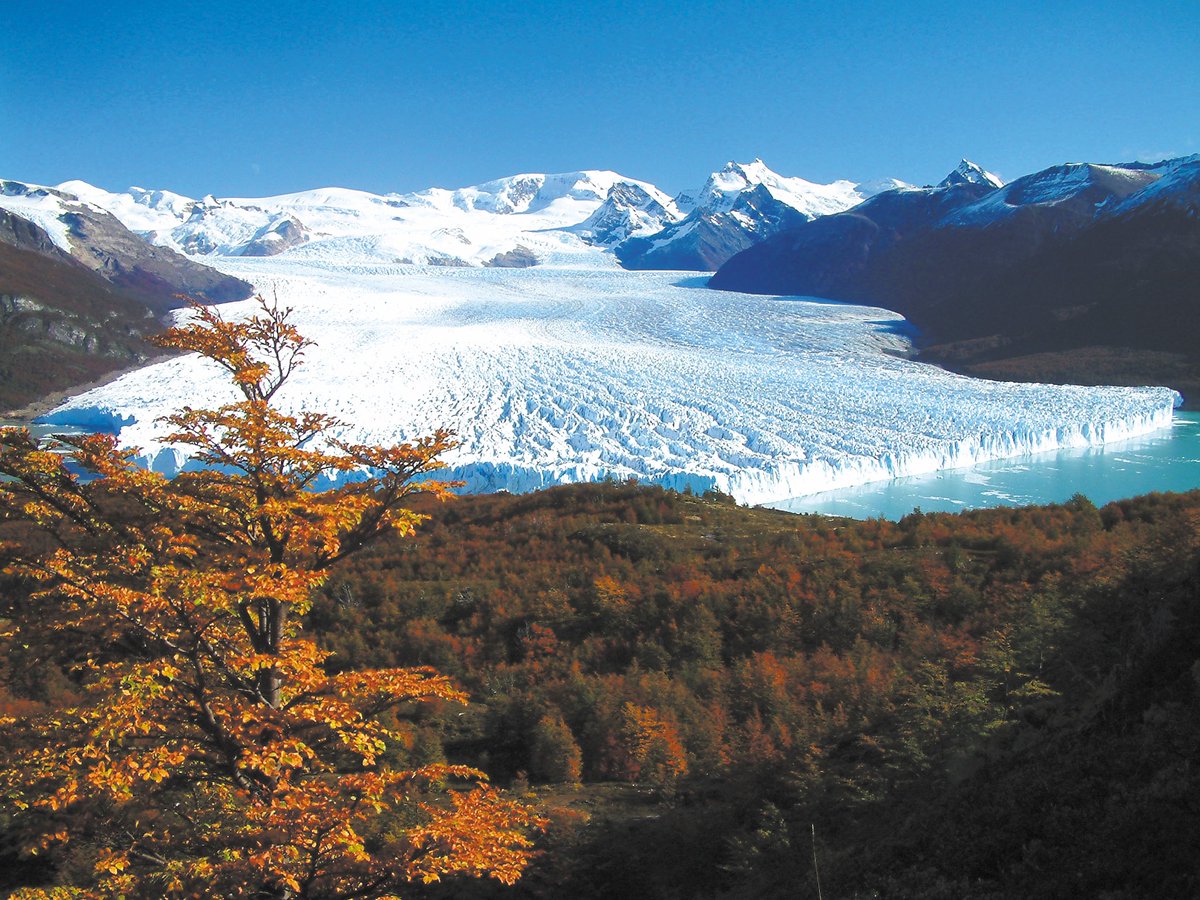 ProbaPatagonia's tweet photo. Cada estación le da un marco especial al gigante de hielo.

Así lo encontramos en #Otoño 🍂 https://t.co/DNpOPYss93