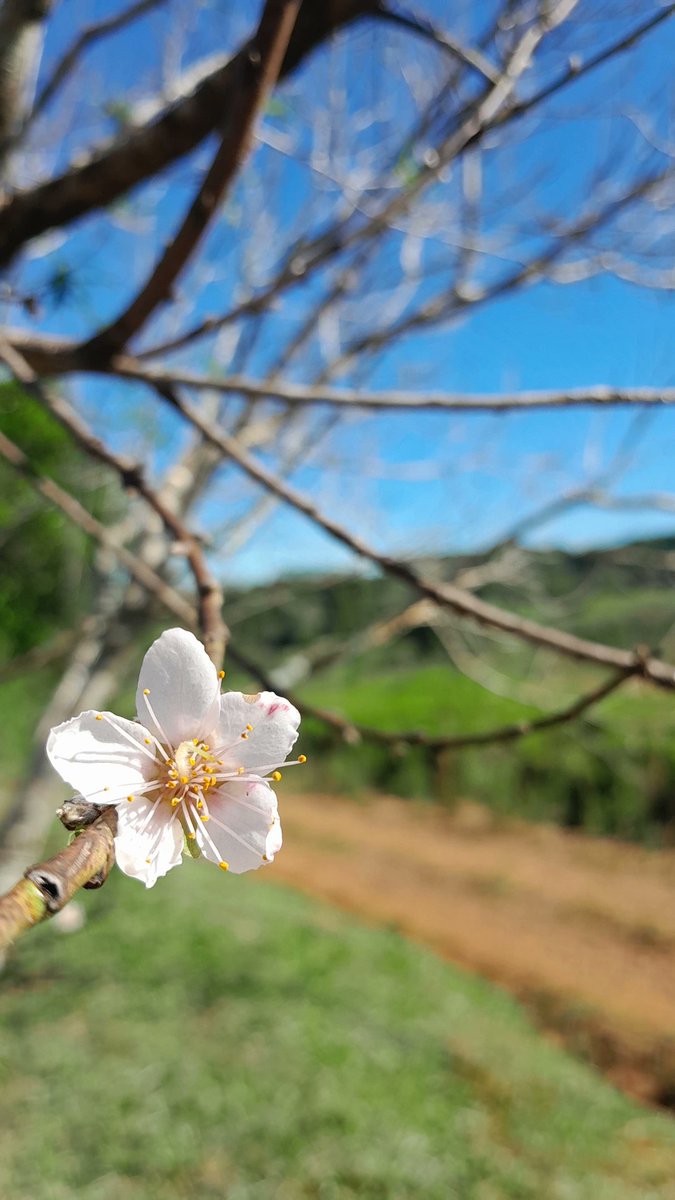 Mi lugar de paz sin duda alguna🦋🫀