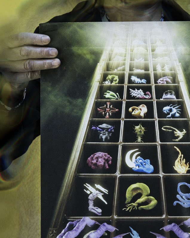 Good Boy William tweet media