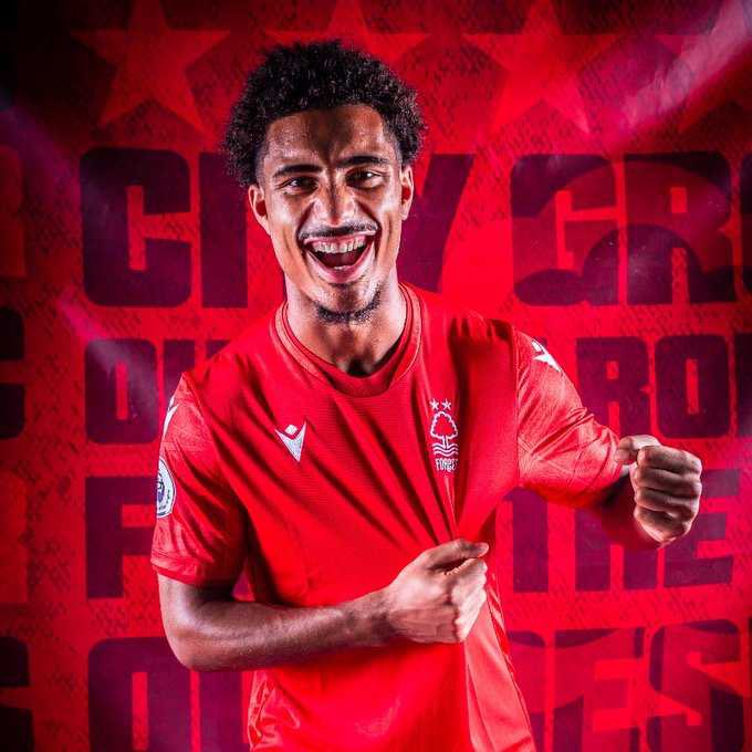 Ethan Lamb tweet media