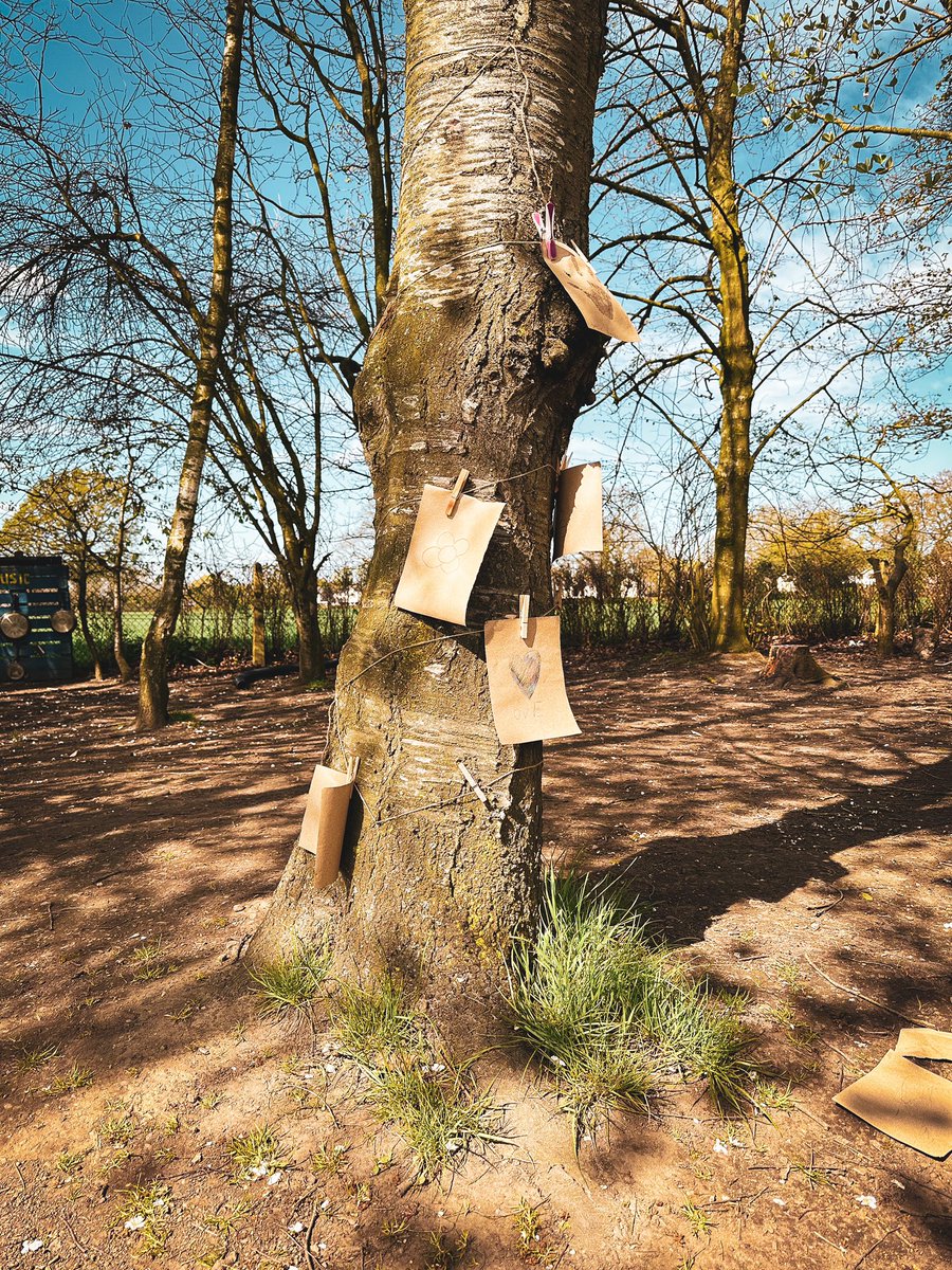 Bexton Primary tweet media