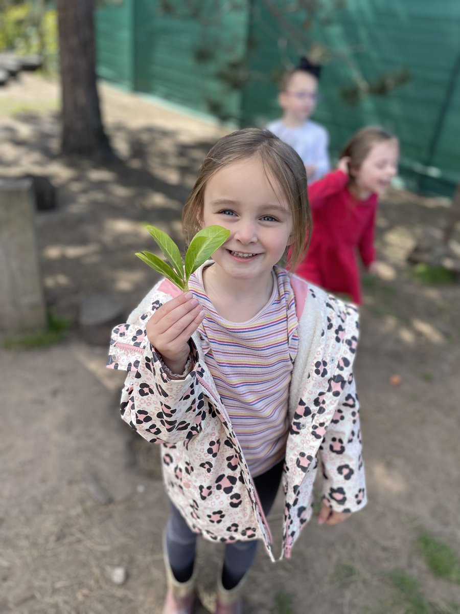 Miss Nesbit (@missnesbitremat) on Twitter photo This afternoon, there were some magic leaves in Forest School 🍃 This girl used them to turn people invisible 🫥 We love imaginative play in <a href="/ShoresideRec/">Shoreside Reception</a> ! <a href="/Shoreside1234/">Shoreside Primary School</a> <a href="/MrPowerREMAT/">Mr Power</a> This afternoon, there were some magic leaves in Forest School 🍃 This girl used them to turn people invisible 🫥 We love imaginative play in <a href="/ShoresideRec/">Shoreside Reception</a> ! <a href="/Shoreside1234/">Shoreside Primary School</a> <a href="/MrPowerREMAT/">Mr Power</a>