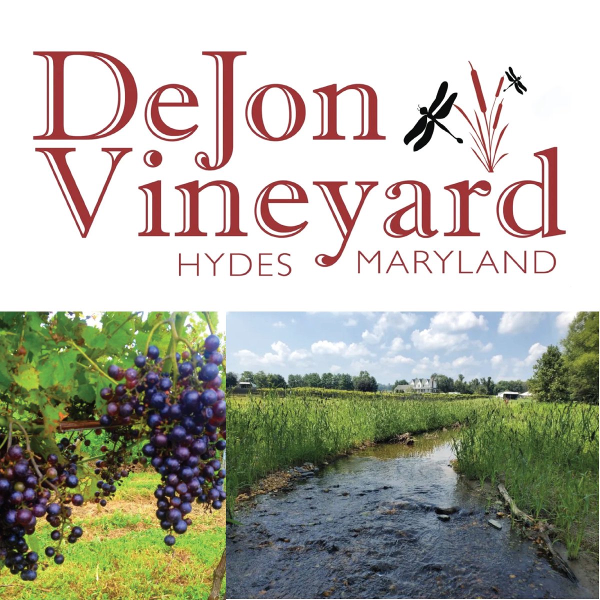 Ecotone, Inc tweet media