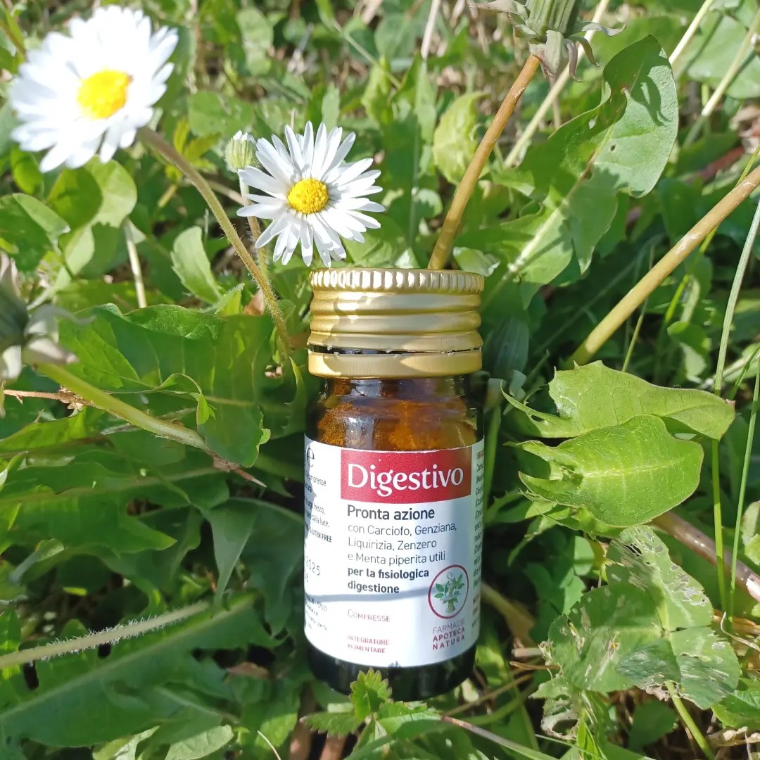 MoniaMeni's tweet photo. Da quando l'ho conosciuto lo porto sempre con me!
Aiuta nella normale digestione o in caso di pasti abbondanti grazie alla sua formula con Carciofo, Genziana, Liquirizia, Zenzero e Menta piperita.
#MyDigestivo #ProntaAzionePerLaDigestione #MyApotecaNatura #GiftedbyApotecaNatura https://t.co/MKSGCnmwbs