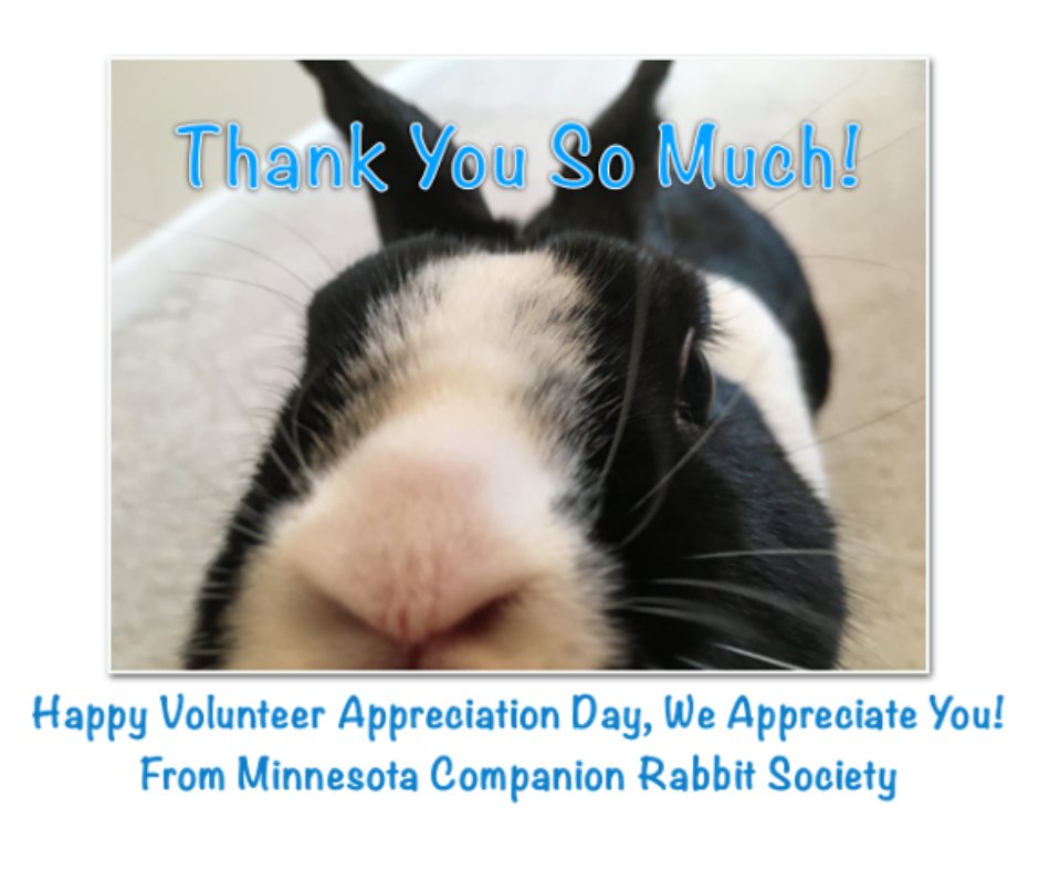 MNRabbitSociety's tweet photo. Happy Volunteer Appreciation Day to our wonderful volunteers!
Your volunteer and foster efforts make what we do possible every day - save rabbit lives.
Thank you so much to our volunteers for making a better world for buns and for humans!!

#mcrs #volunteer #volunteerappreciation https://t.co/IFpWYVS1hk