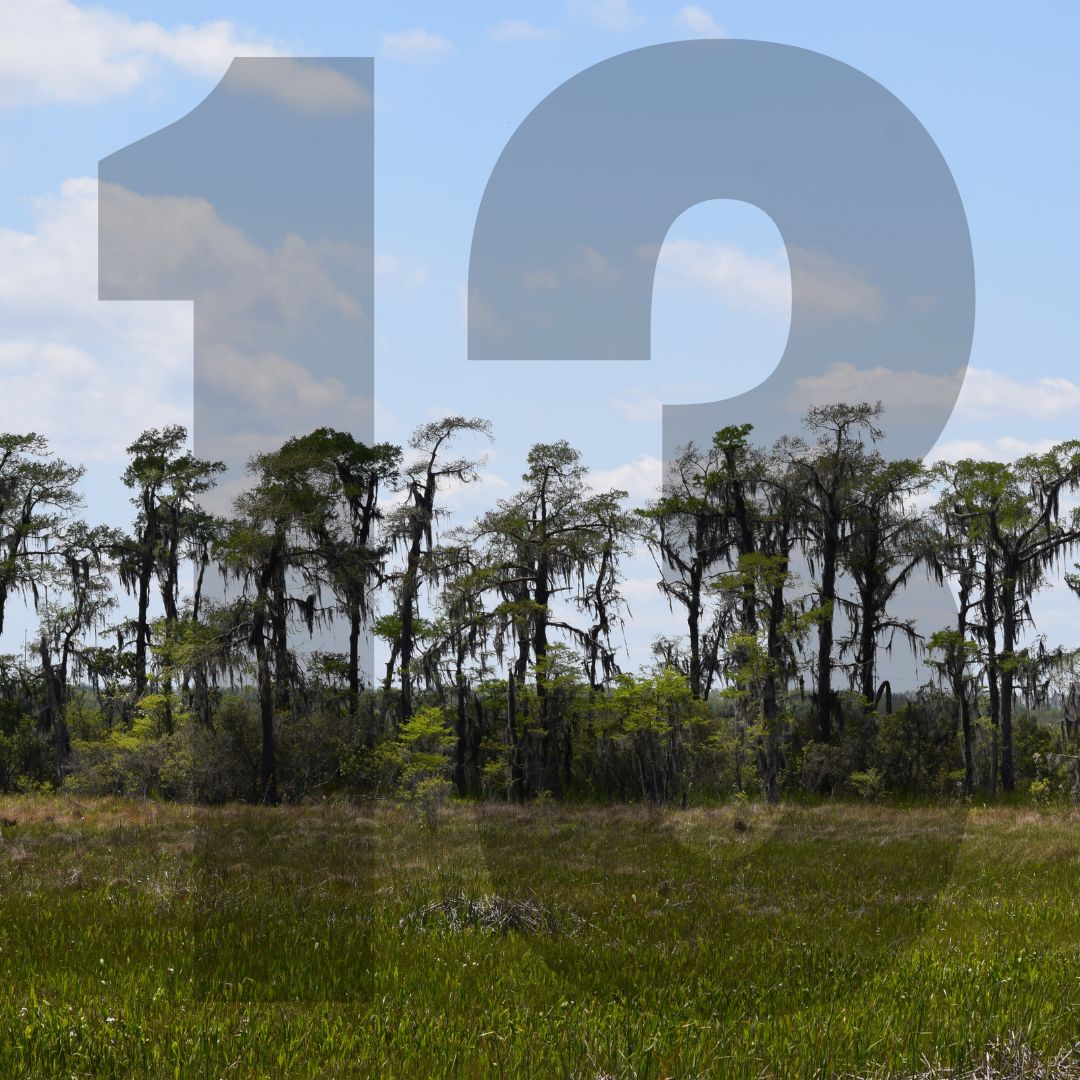 Today marks 13 years since the Gulf oil spill. Since then, Louisiana has found many ways to turn crisis into opportunity, including using settlement funds to further key Coastal Master Plan projects. Read our 10 year anniversary blog: bit.ly/3orQPxg