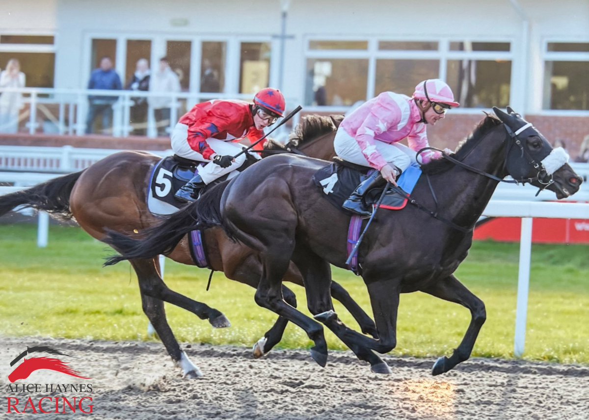 ▫️CAVALLUCCIO ▫️Wins again tonight - well done to all connections #AHteam @wiboyle @ONaillers2010