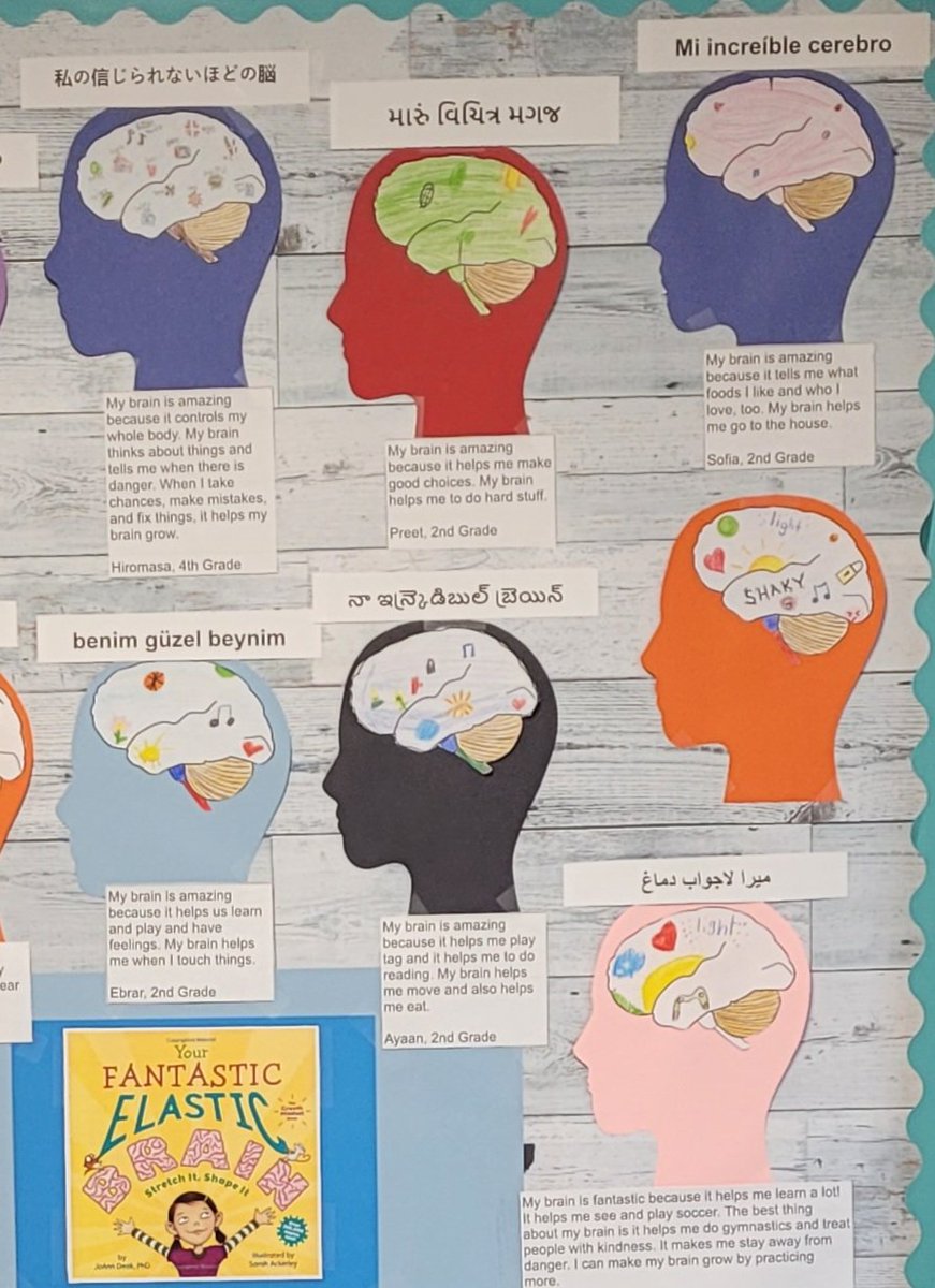 BeltzRob's tweet photo. Translanguaging at @novivillageoaks. The research doesn't lie. Students learn best when encouraged to process and connect in both their 1st & 2nd, and sometimes even 3rd language. @ncsd #AEN #ESL #translanguaging #VOHeart https://t.co/trsUjbSnEc