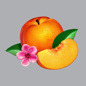 consequence's tweet photo. .@WearePhoenix's fifth studio album, Bankrupt! turned 10 this week.

What is your favourite song from the record? https://t.co/AFVAu1gfdG