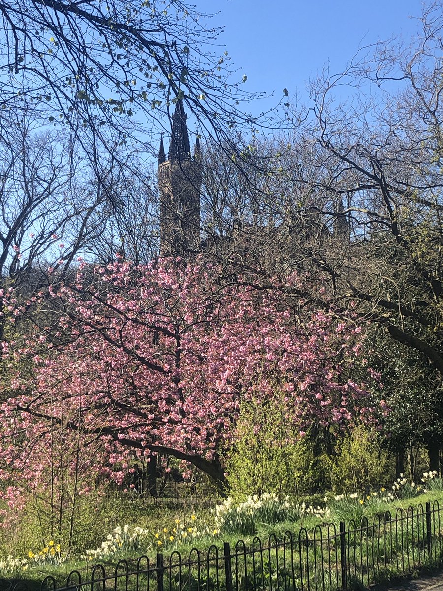 A colourful view of <a href="/UofGlasgow/">University of Glasgow</a> from Kelvingrove this afternoon