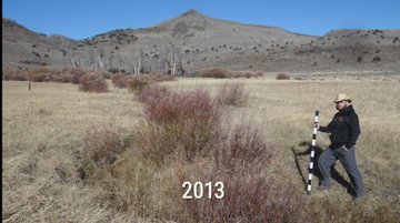 PASSIVE RESTORATION: Cattle were removed from this public land in 1990. You be the judge. It is amazing how nature can heal itself if we just get out of the way. This is on the Hart Mountain National Wildlife Refuge in Oregon, USA.