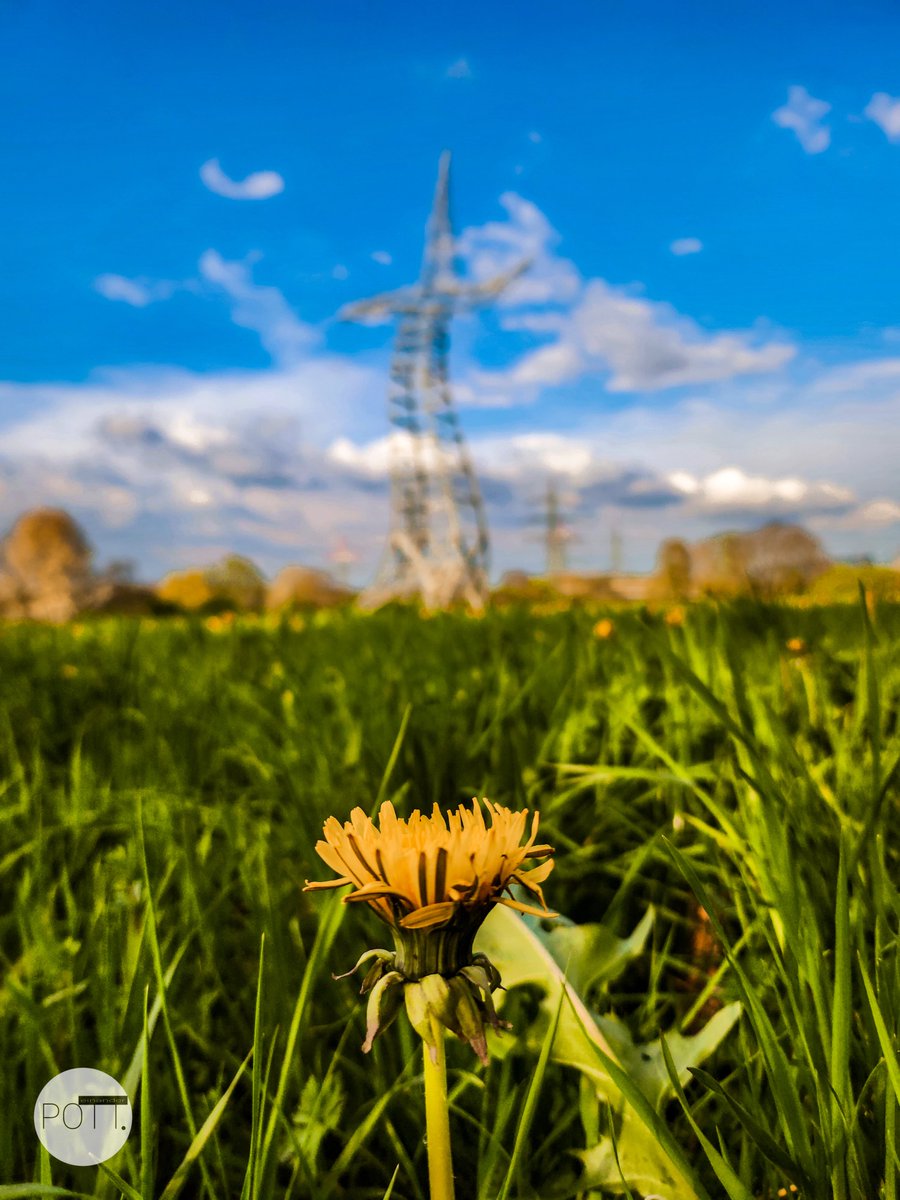 potteinander's tweet photo. 📌 Tanzender Strommast in Oberhausen ❗️
.
_____🧙♂️🧙♂️🧙♂️_____
.
#zauberlehrling #strommast #kunst #emscherkunst #hausripshorst #oberhausentourismus #regionalverbandruhr #zauberlehrling #tanzenderstrommast #emscherkunst #hausripshorst #rheinhernekanal #oberhausen #potteinander https://t.co/fGPjtyKaVw