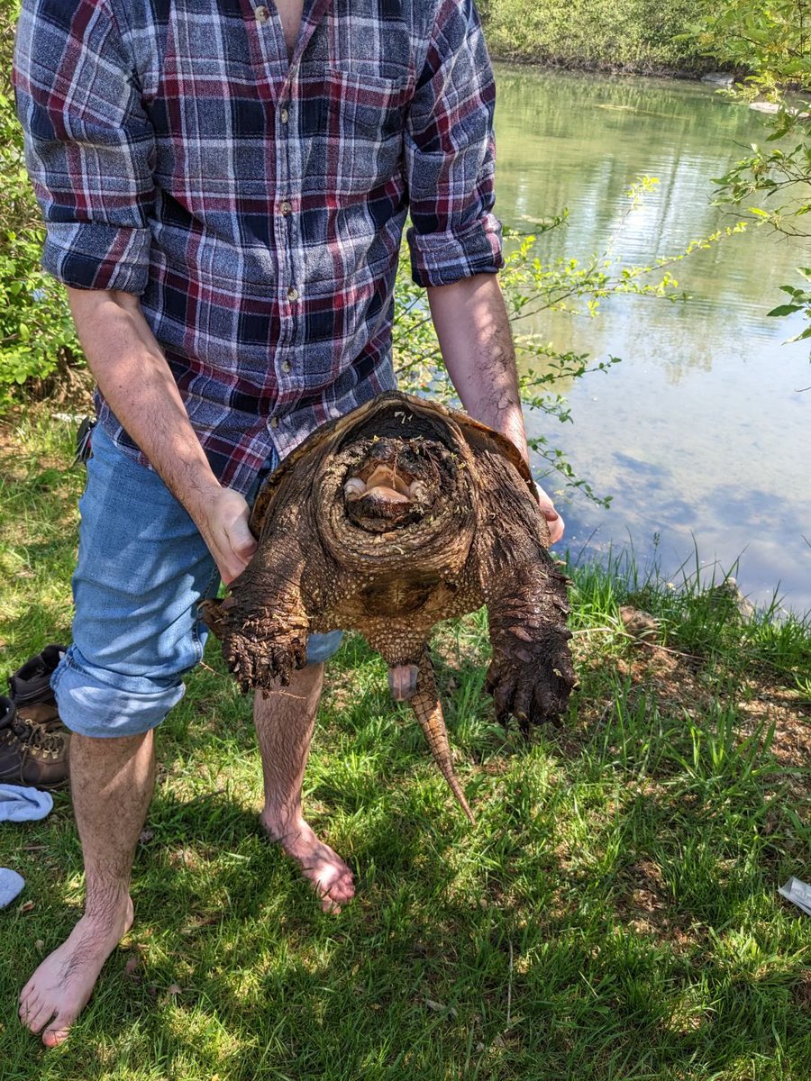 Houston Chandler tweet media