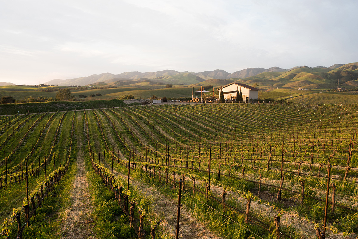 RunnymedeCap's tweet photo. Crimson Wine Group & RNDC Partner to Reignite @EarthDay Community Clean Up Program https://t.co/hoIPMNpXDV | @WineIndustry @crimsonwgroup @RNDC_USA #EarthDay #Community #CleanUpProgram #WineIndustry #WineIndustryAdvisor https://t.co/1gGtk1xpd1