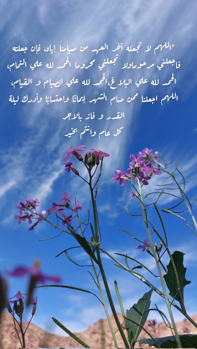 AfyaiAl's tweet photo. عيدكم مبارك 
(وكل عام وأنتم بخير ) https://t.co/be6x77Z5Ud