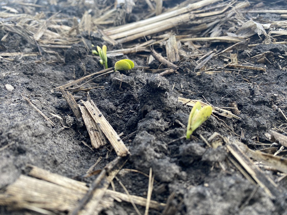 Brad Mason tweet media