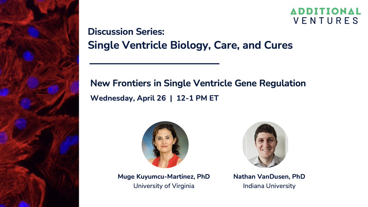 Join #AVSpeakerSeries next Wed for New Frontiers in #SingleVentricle Gene Regulation led by Susan Liao @regevlab ft. Muge Kuyumcu-Martinez @KuyumcuLab @UVACVRC & Nathan VanDusen @njvdn @IndianaUniv

📆 April 26, 12 PM ET
Register ow.ly/R6fC50NqBXi