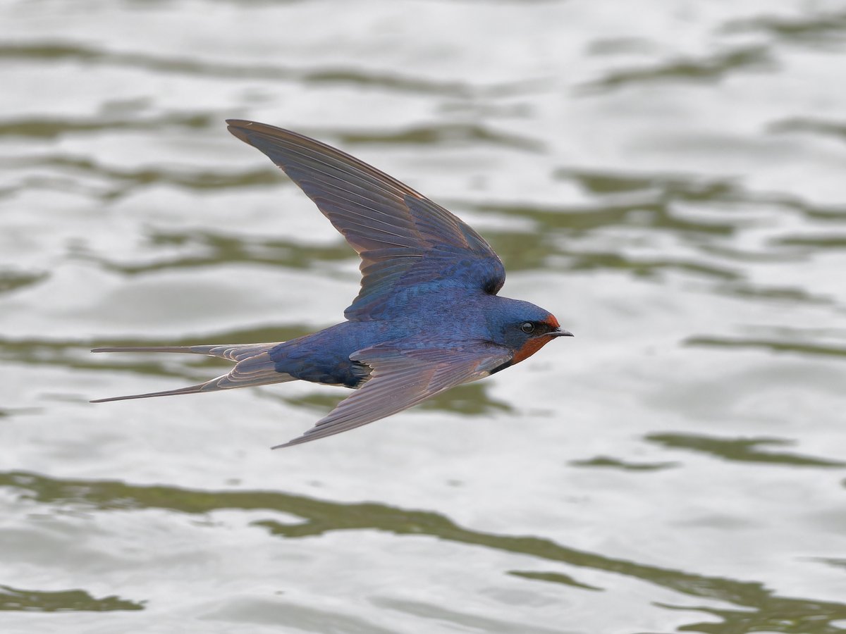 Paul Roberts tweet media