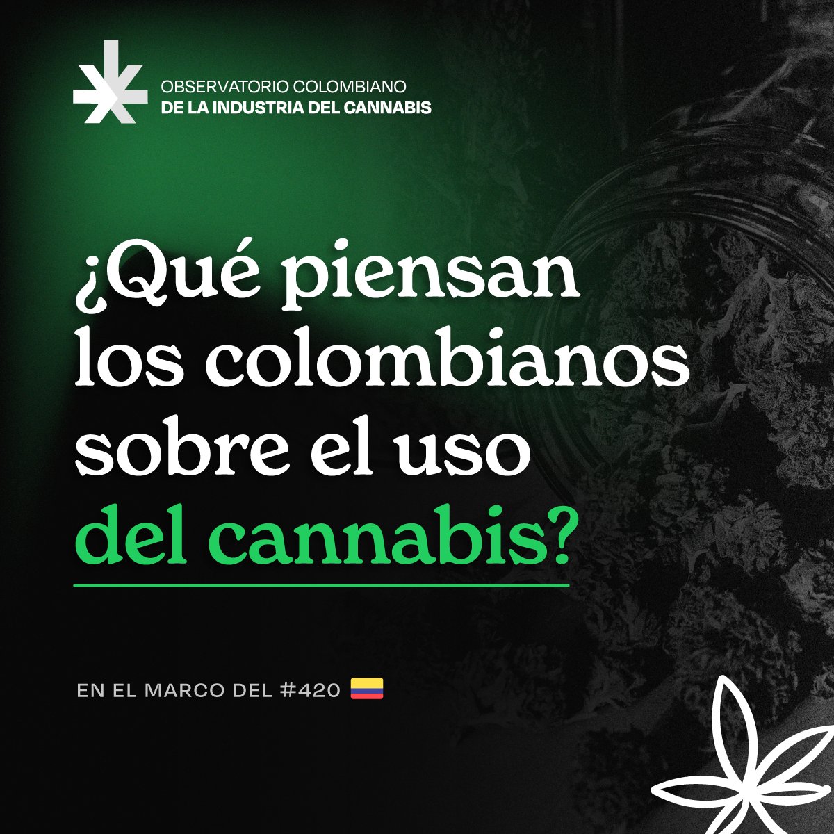 OBScannabis_Co's tweet image. #OCIC l #WeedDay
En el marco del #420, rescatamos los datos más importantes de nuestra encuesta de opinión pública sobre la industria del cannabis, que consultó a más de 2.000 colombianos. 🇨🇴🟢
Para conocer más datos del Observatorio visite ja-a.co/resultados_oci…