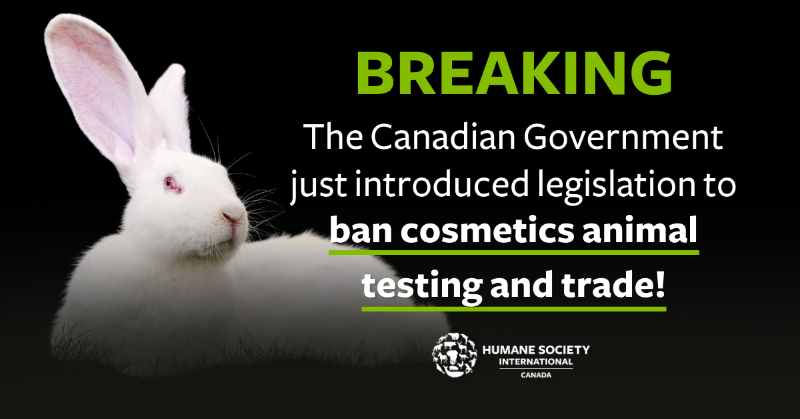 humaneworldcan tweet picture