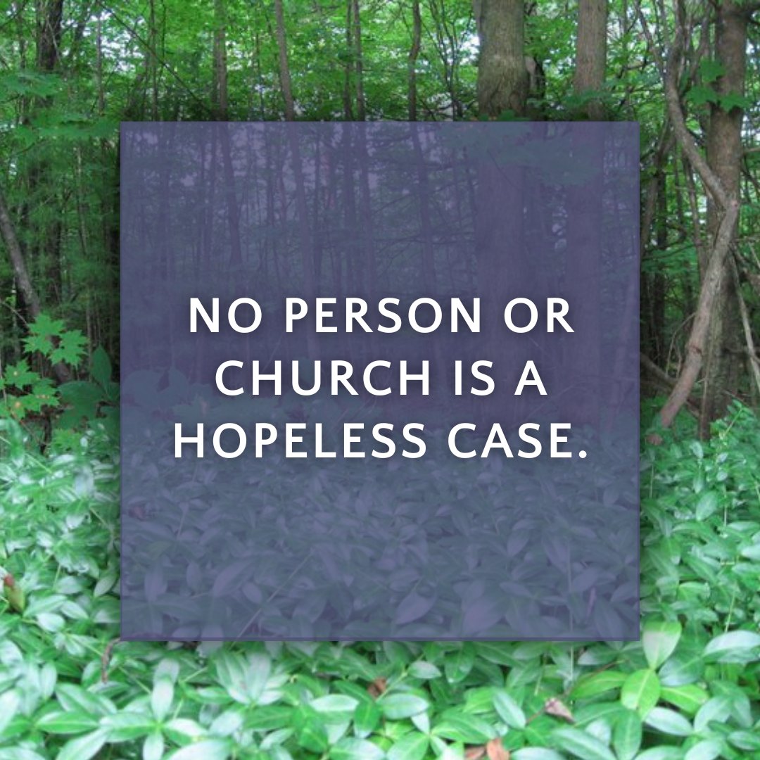 XnCurious's tweet photo. It is easy to believe the church in America is a hopeless case. It has lost its authority, is crippled by scandals. But Jesus has not lost his power. He's not crippled by scandal. 

God is still the God of hope, and no person or church is a hopeless case.
https://t.co/zCjOdpRUE6 https://t.co/OU4c1CQbeF