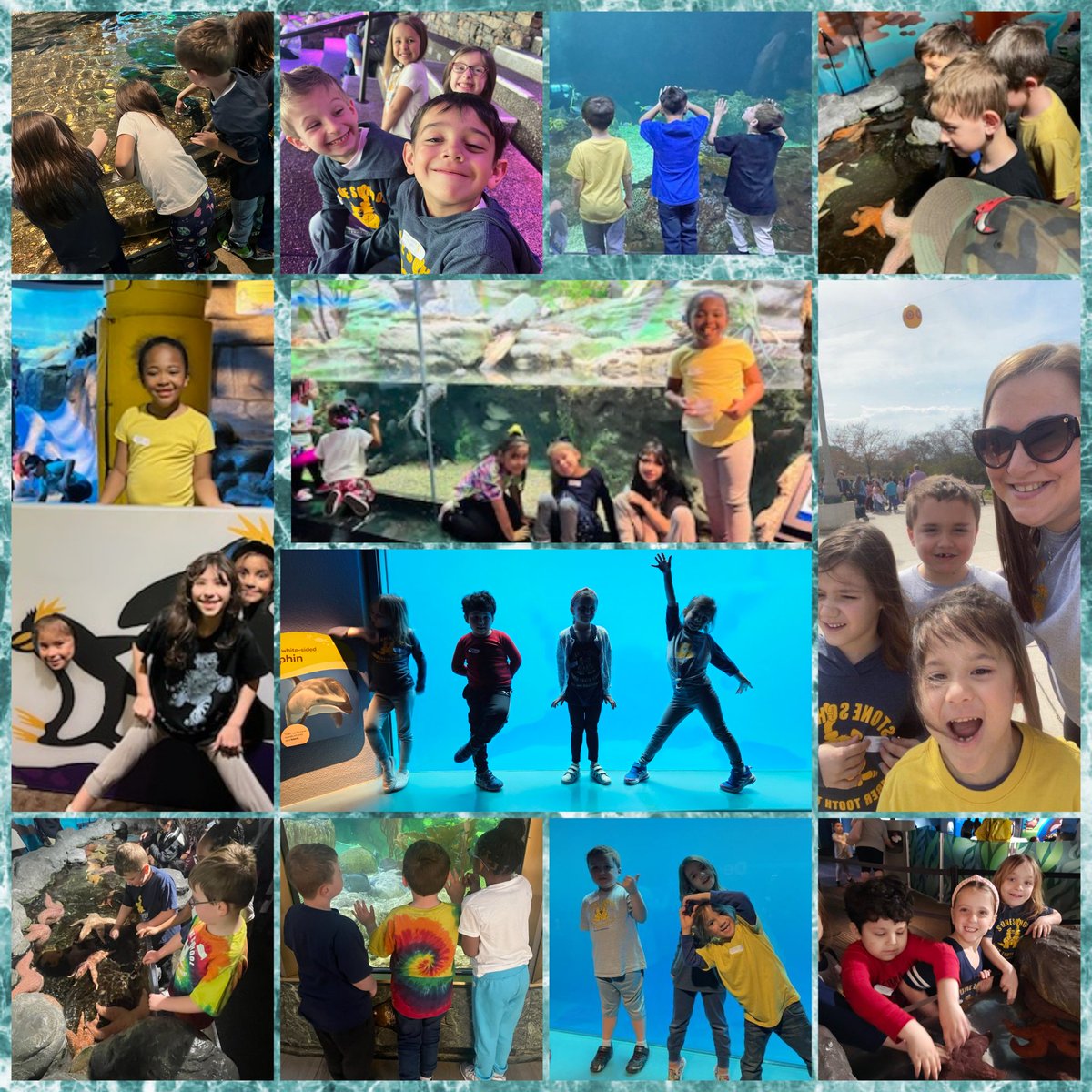 Mrs. Scolire tweet media