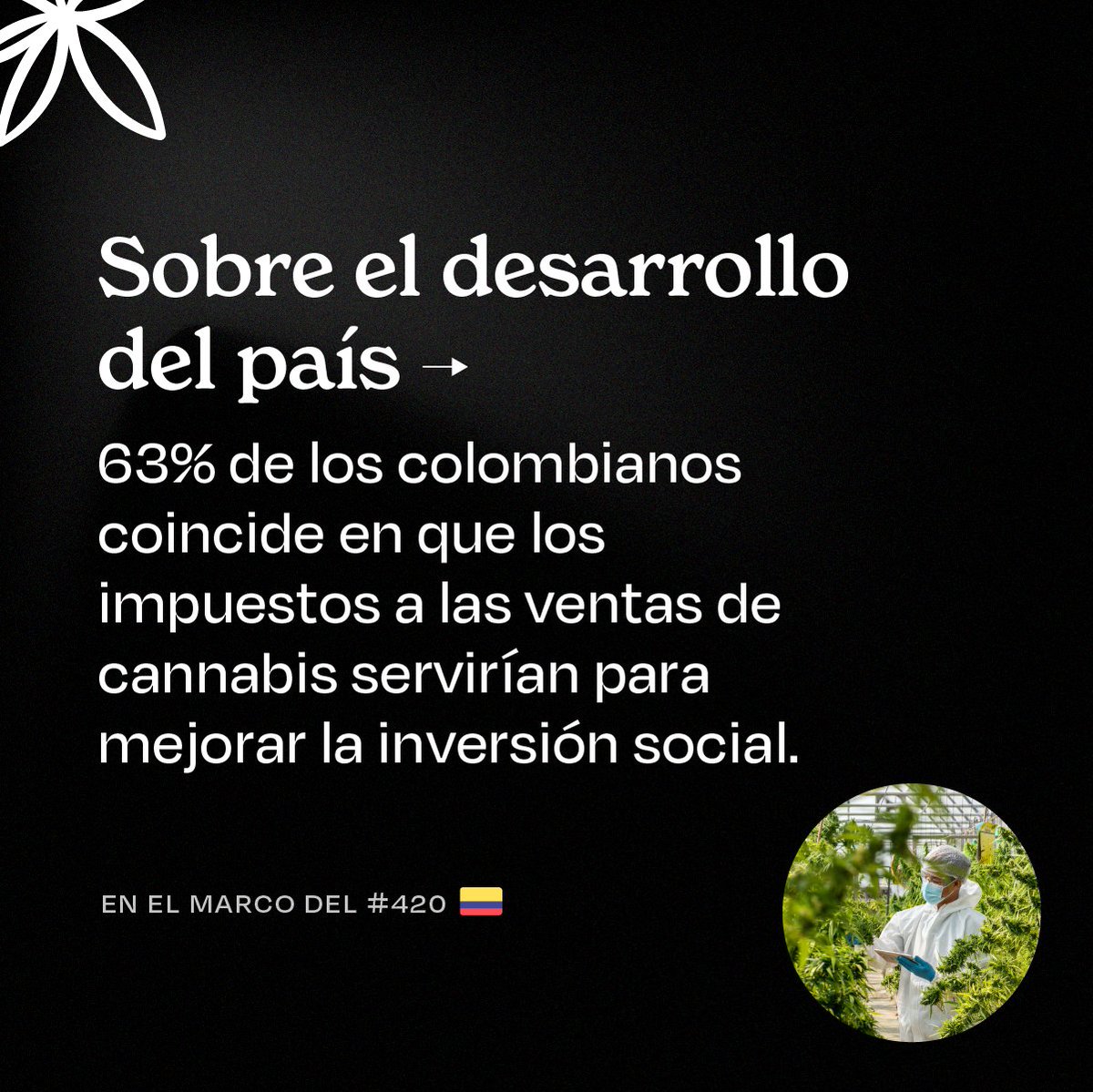 OBScannabis_Co's tweet image. #OCIC l #WeedDay
En el marco del #420, rescatamos los datos más importantes de nuestra encuesta de opinión pública sobre la industria del cannabis, que consultó a más de 2.000 colombianos. 🇨🇴🟢
Para conocer más datos del Observatorio visite ja-a.co/resultados_oci…
