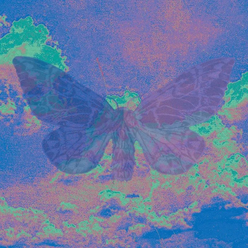 🚨🎁GIVEAWAY🎁🚨

Artifacts by Emma Miller NFT @ohemmamiller 

To enter giveaway⬇️

1) 👤 Follow <a href="/SantaFeNFT/">@santafenft</a> on Twitter

2)💙 Like this post 

3)🔁 RT 

4)‼️Set a reminder &amp; attend space TONIGHT at 8:20 EST 

Twitter Spaces ➡️ x.com/i/spaces/1ynJO…

#Giveaway #GiveawayAlert