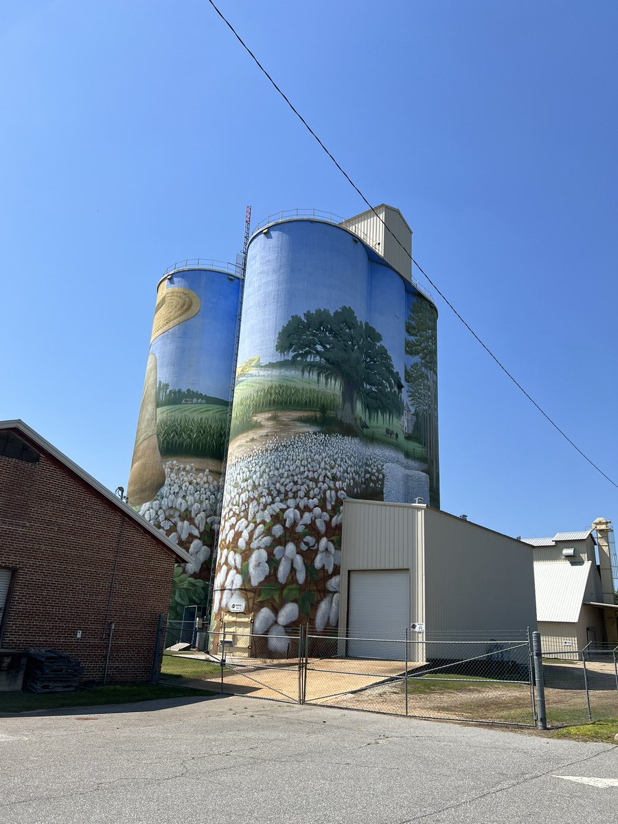 Kicking off weekly data collection with stand counts in our #onfarm #fertilizerplacement study. Thanks to <a href="/Traugh_Ag/">Caleb Traugh</a> for his collaboration on this project. Also this farming mural on the silos in Colquitt is so intriguing!! #research23 #datacollection