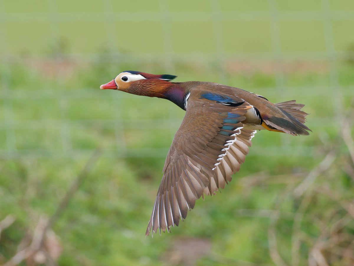 Paul Roberts tweet media