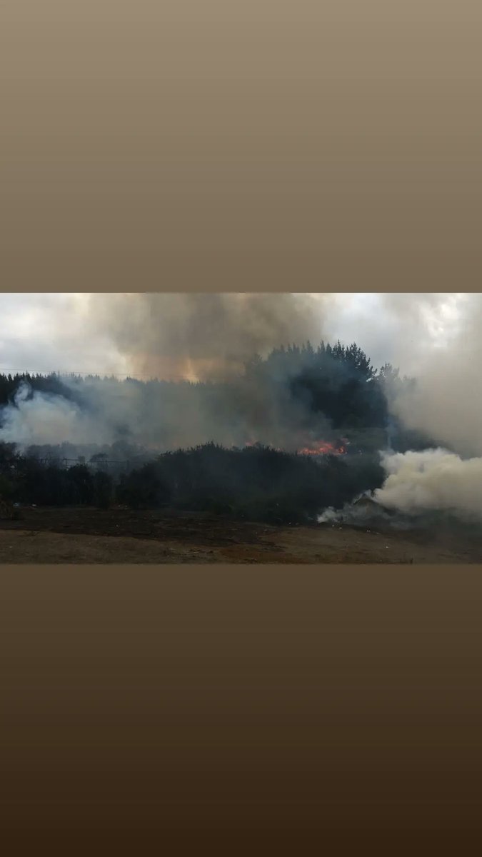 TerceraCerroAlt's tweet photo. Nuestra Unidad B-3, fué despachada al sector de Villa El Bosque, camino a Pata de Vaca, por incendio en desechos forestales. #Cat8

TERCERA COMPAÑÍA ZAPADORES DE CERRO ALTO
"SERVIR PARA CRECER" https://t.co/2VUgfUkBqu
