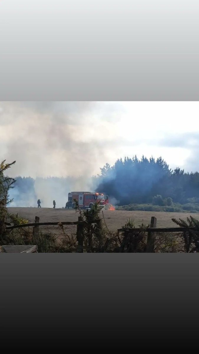 TerceraCerroAlt's tweet photo. Nuestra Unidad B-3, fué despachada al sector de Villa El Bosque, camino a Pata de Vaca, por incendio en desechos forestales. #Cat8

TERCERA COMPAÑÍA ZAPADORES DE CERRO ALTO
"SERVIR PARA CRECER" https://t.co/2VUgfUkBqu