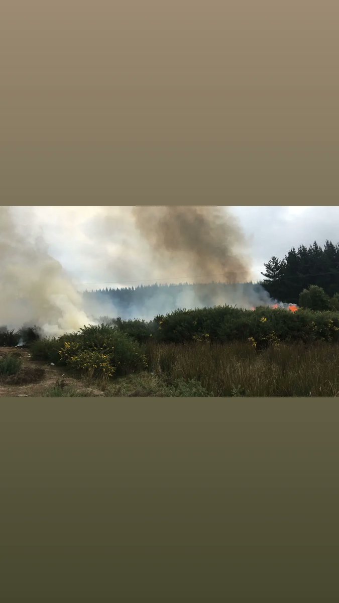 TerceraCerroAlt's tweet photo. Nuestra Unidad B-3, fué despachada al sector de Villa El Bosque, camino a Pata de Vaca, por incendio en desechos forestales. #Cat8

TERCERA COMPAÑÍA ZAPADORES DE CERRO ALTO
"SERVIR PARA CRECER" https://t.co/2VUgfUkBqu