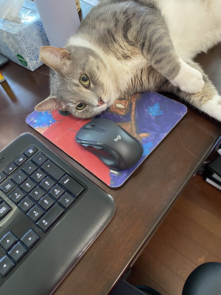 Karst Lab_UF tweet media