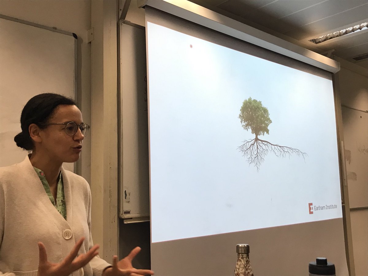 nakayama_naomi's tweet image. Fantastic seminar by ⁦@nicolabiologist⁩ today at IC CSynB! From gene regulation tools to cool pathway engineering projects - inspiring!
Thanks 🙏 Nicola!