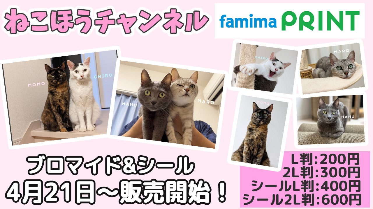 もちねこ [プロフ確認お願いします] もちねこ [プロフ確認お願いします]様 リクエスト 2点 まとめ商品