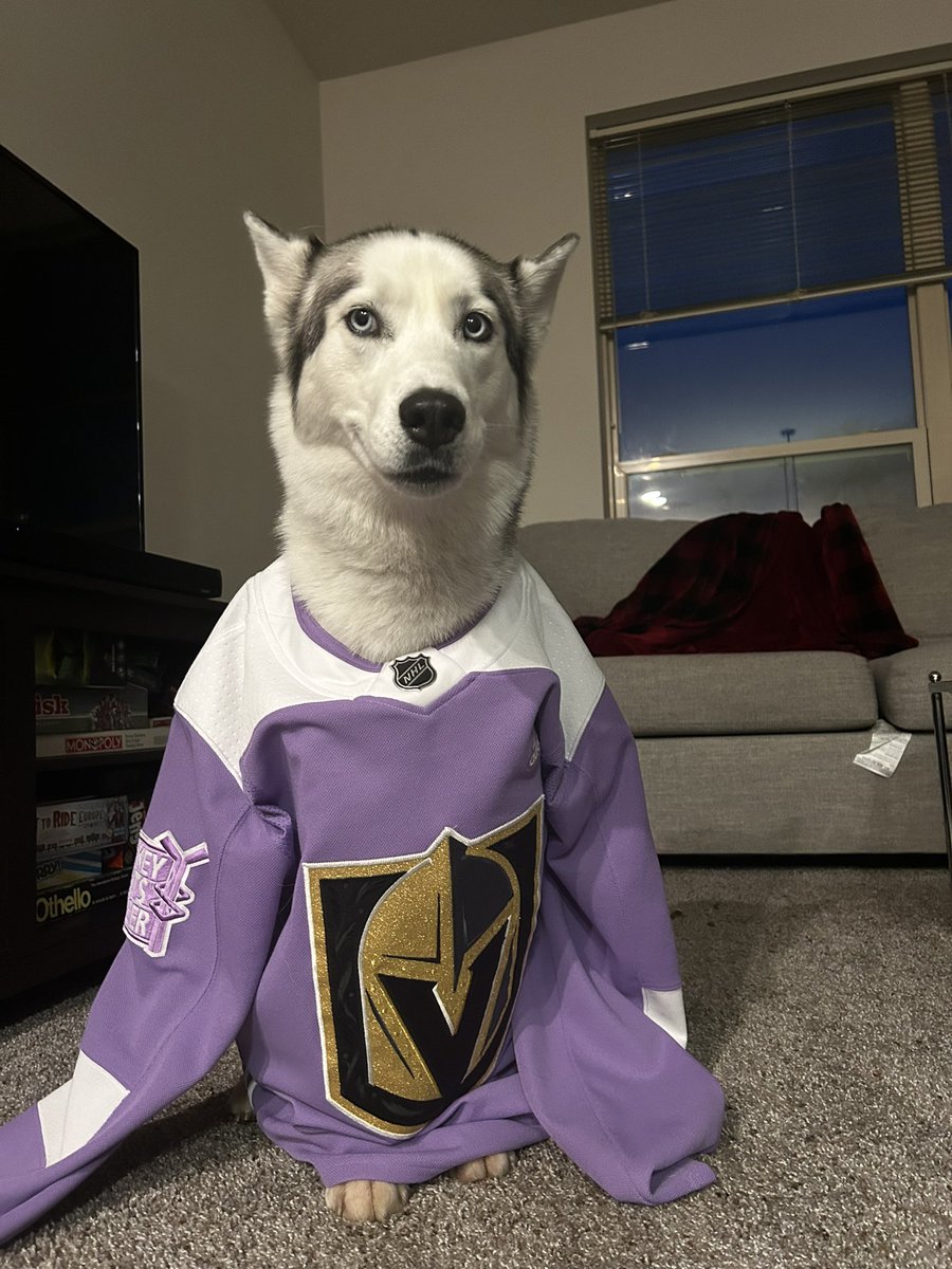 jrwilbourne's tweet photo. Koda says Go Knights Go all the way from Wisconsin!!! #vgk #GoKnightsGo @GoldenKnights https://t.co/BSMv6mJbXV