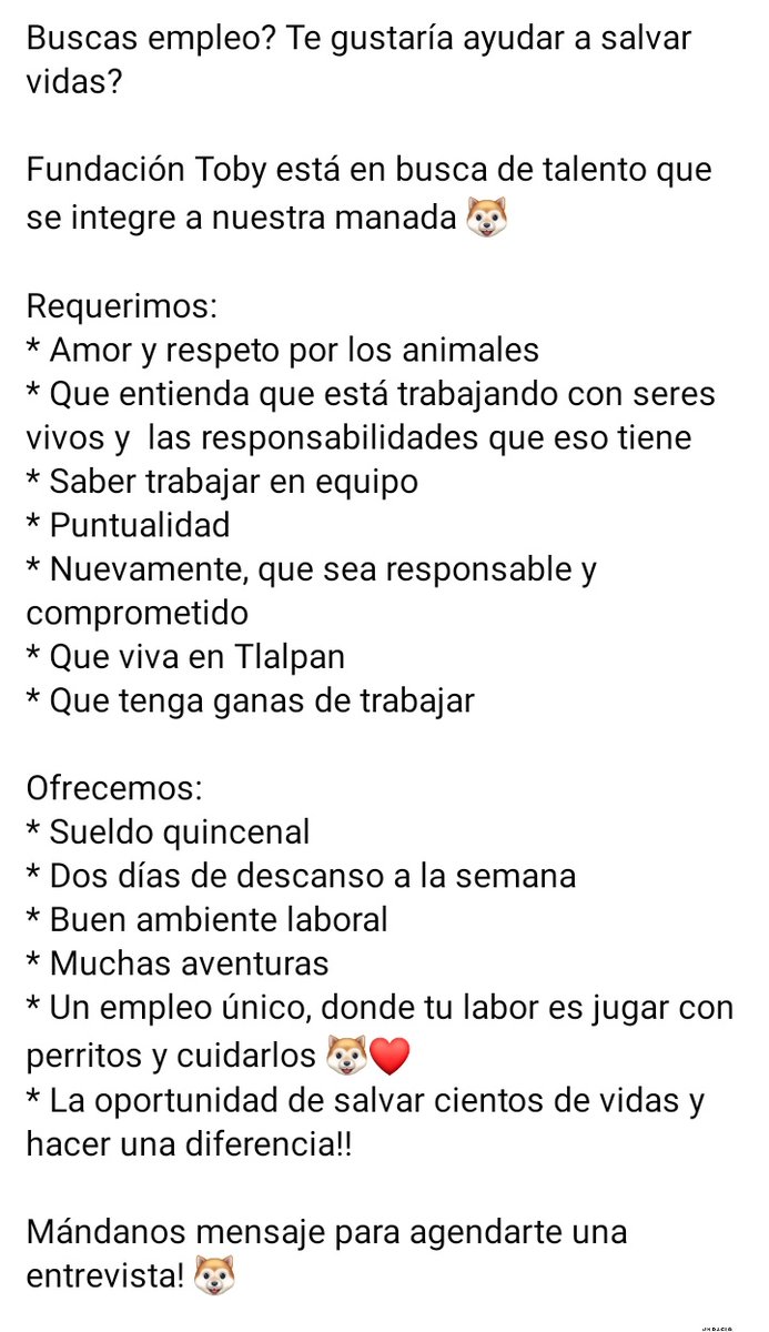 FundacionToby's tweet photo. Amigos seguimos contratando.

Hagan si cita por dm 🧡 https://t.co/i5KSon6X8E