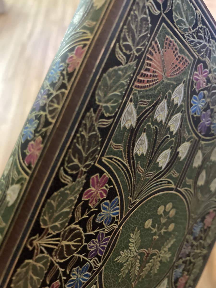 theMockOwl's tweet photo. I have once again purchased a notebook that is far, far too beautiful to use. 

I regret nothing. https://t.co/e4Tr4iCKwK