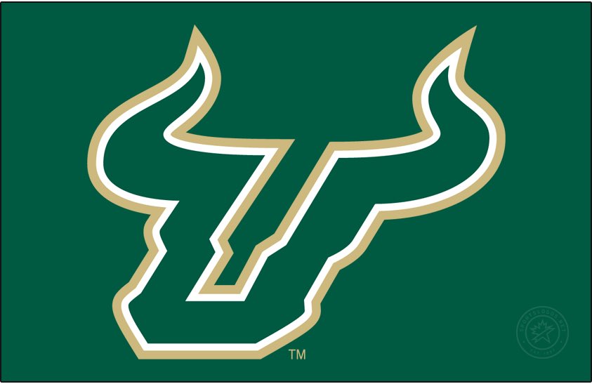 Wade_Helton73's tweet photo. All glory to God! Blessed to have received an offer to the University of South Florida! @CoachHoodie @CoachGolesh @USFFootball @Cen10Football @QBCatalano @GregBiggins @BrandonHuffman @adamgorney @MohrRecruiting https://t.co/otfKeFphzk