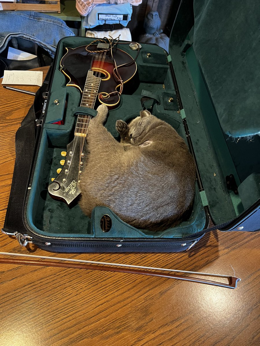 EquineFuntime's tweet photo. Took a beautiful hike, met a kitten sleeping in a violin case, and found a local #Furry tag

🏔️ 🦊 ☀️ https://t.co/tqxS5fSOSP