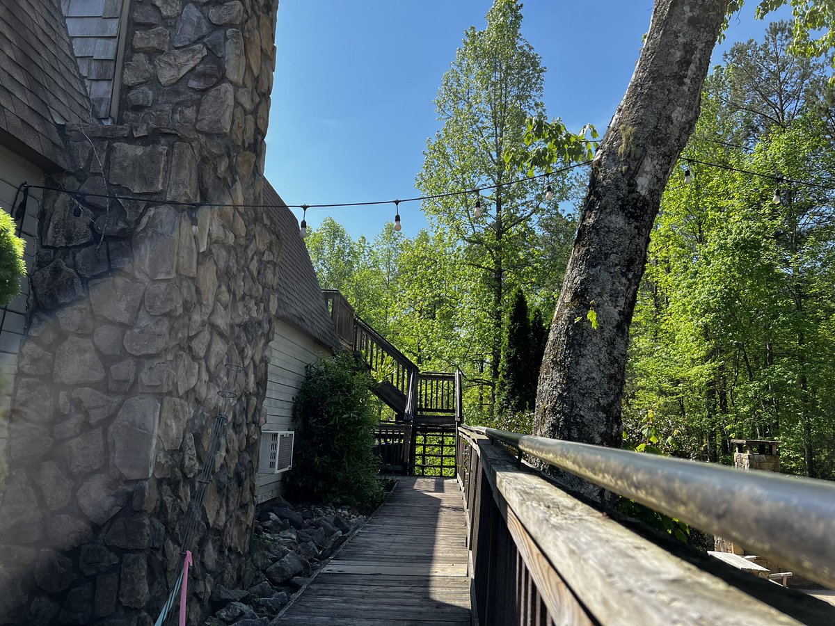 EquineFuntime's tweet photo. Took a beautiful hike, met a kitten sleeping in a violin case, and found a local #Furry tag

🏔️ 🦊 ☀️ https://t.co/tqxS5fSOSP