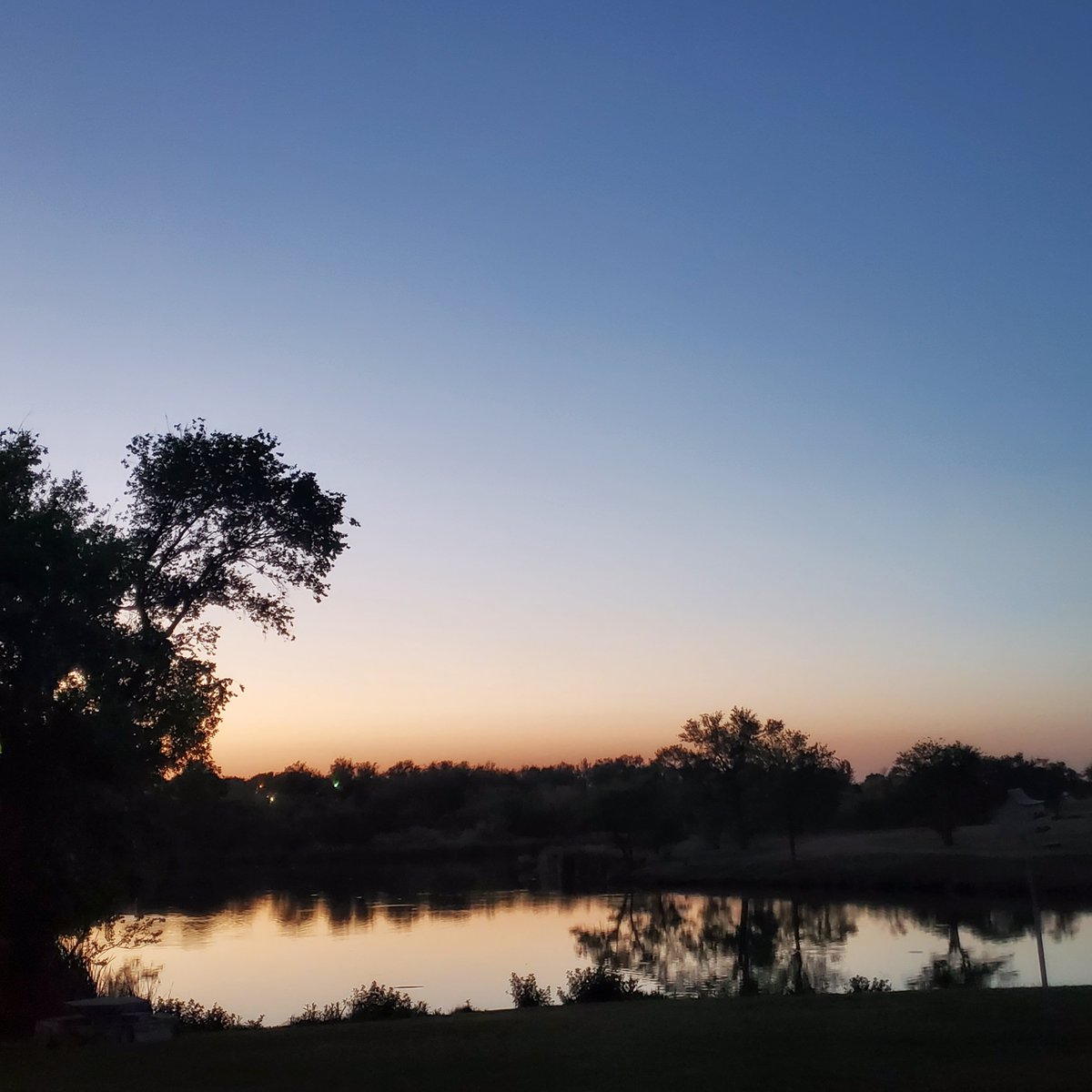 thatgirltexas's tweet photo. A beautiful night here in Texas. https://t.co/wVFf1KIlwo