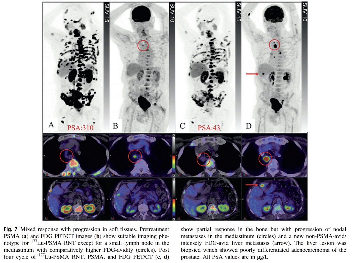 Michael Hofman tweet media