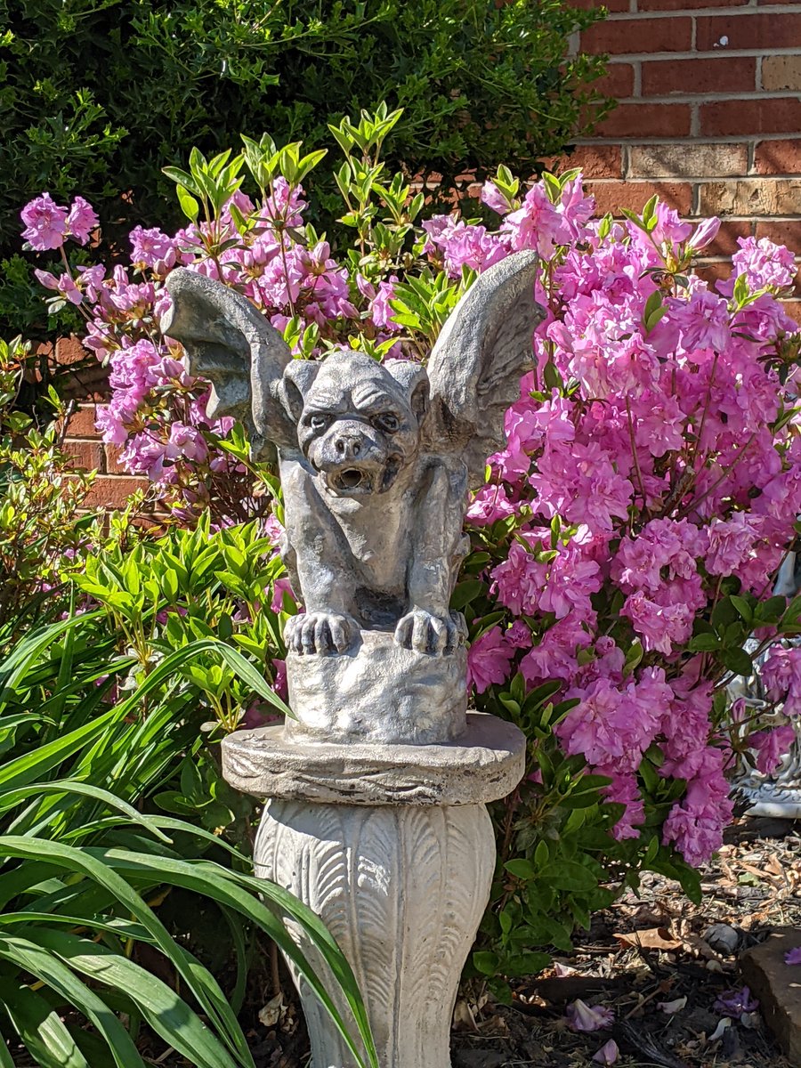 LLeighLove's tweet photo. Happy Gargoyle and Flowers day.
(I just made that up)
May the protection of gargoyle and the joy of flowers be with you.
#writingcommunity, #indieauthors, #gargoyles, #humanfrogalliance, #spring https://t.co/gb2Zt6xnys