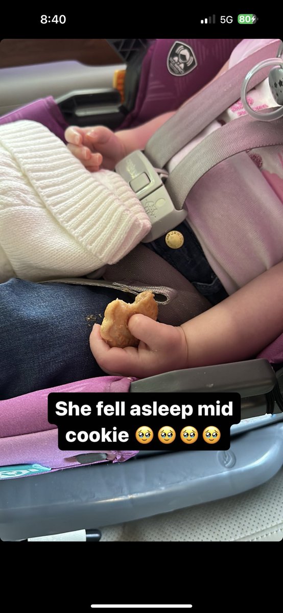 TonkaPaytass's tweet photo. Look at that CHEST strap. 😫 my god. If they got into a car accident she would be ejected. #trishapaytas #neglectfulmother #deplatformtrishapaytas somebody call CPS https://t.co/jy151aQ4Qw